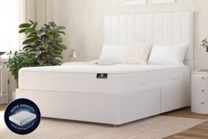 Spring King® Wool Ortho Pocket Mattress